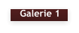 Galerie 1