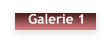 Galerie 1